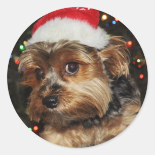 Cute Yorkie with Santa Hat Classic Round Sticker