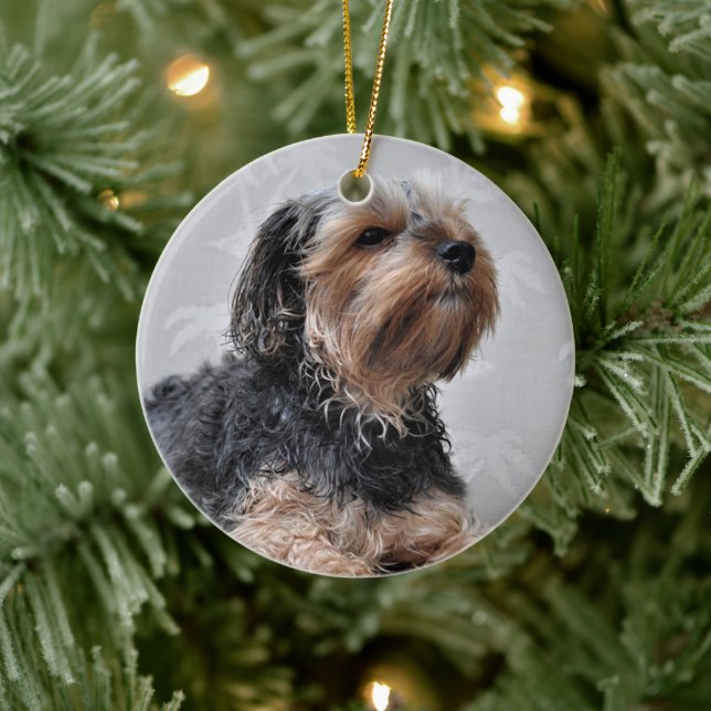 Cute Yorkie Yorkshire Terrier Sunbathing Ceramic Ornament (Tree)