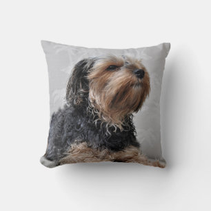 Cute Yorkie Yorkshire Terrier Sunbathing Cushion