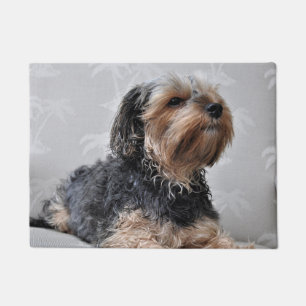 Cute Yorkie Yorkshire Terrier Sunbathing  Doormat