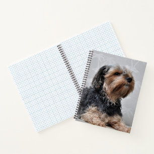 Cute Yorkie Yorkshire Terrier Sunbathing Notebook