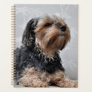 Cute Yorkie Yorkshire Terrier Sunbathing Planner