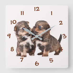 Cute Yorkshire Puppies Square Wall Clock