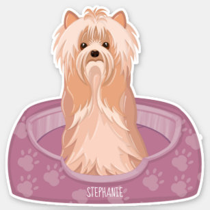 Cute Yorkshire Terrier Birthday Sticker