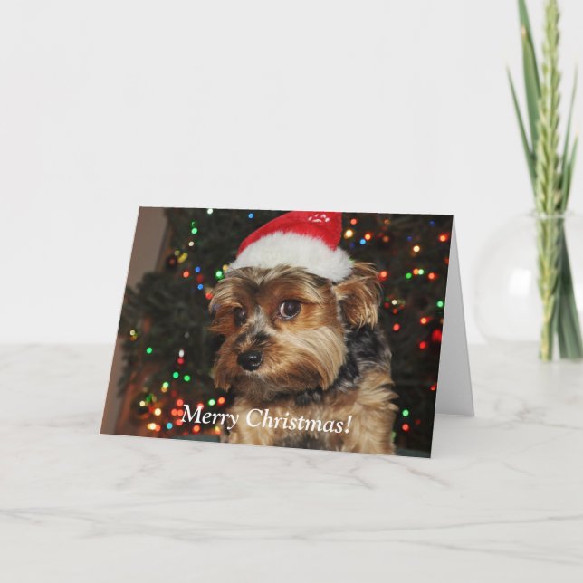 Cute Yorkshire Terrier Christmas Card (Front)