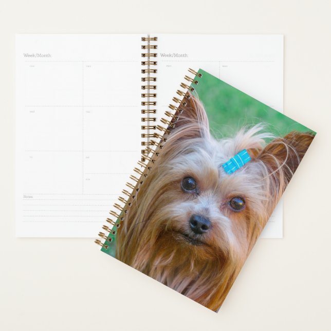 Cute Yorkshire Terrier Dog Head Planner (Display)