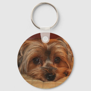Cute Yorkshire Terrier Dog Key Ring