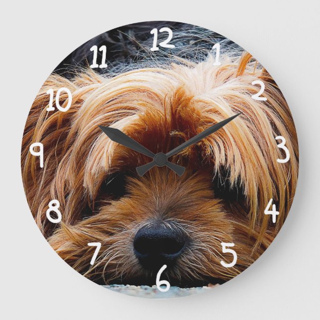 Cute Yorkshire Terrier Dog Large Clock (Front)