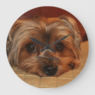 Cute Yorkshire Terrier Dog Large Clock