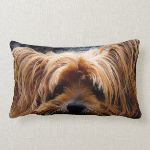 Cute Yorkshire Terrier Dog Lumbar Cushion