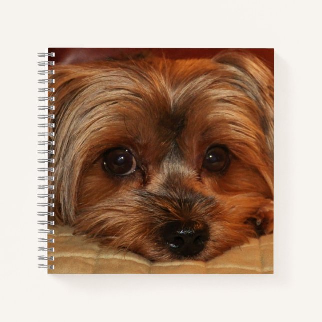 Cute Yorkshire Terrier Dog Notebook (Front)