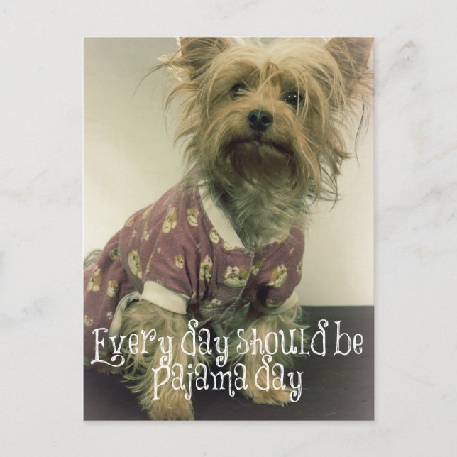 Cute Yorkshire Terrier in Pyjamas with Quote Postcard (Front)