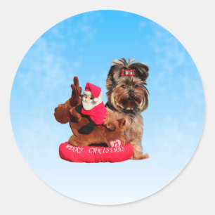 Cute Yorkshire Terrier Merry Christmas Classic Round Sticker