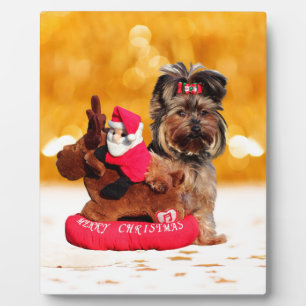 Cute Yorkshire Terrier Merry Christmas Plaque