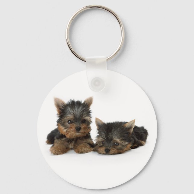 Cute Yorkshire Terrier puppies Key Ring (Front)