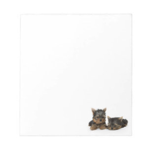 Cute Yorkshire Terrier puppies Notepad