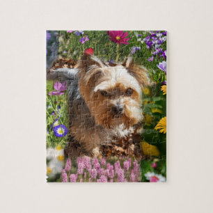 Cute Yorkshire Terrier Puppy & Colourful Flowers Jigsaw Puzzle