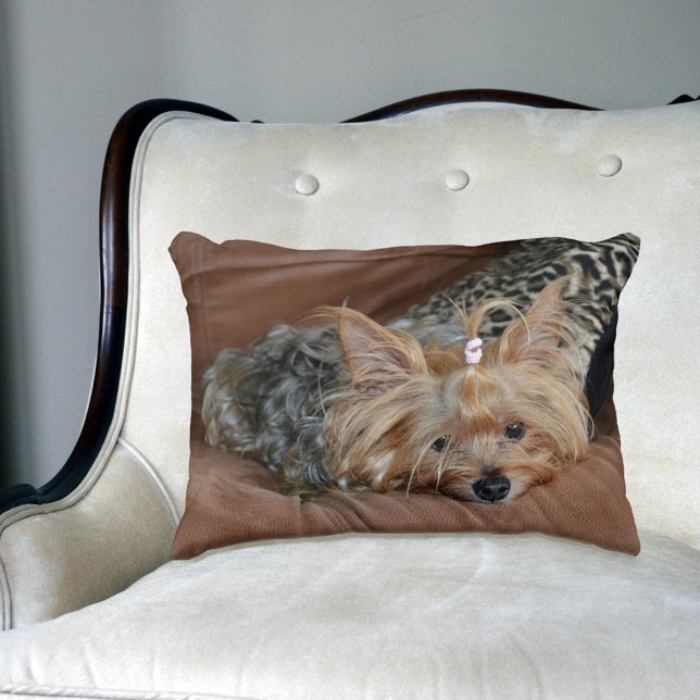 Cute Yorkshire Terrier Puppy Decorative Cushion (Creator Uploaded)
