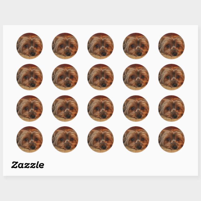 Cute Yorkshire Terrier Puppy Dog Classic Round Sticker (Sheet)