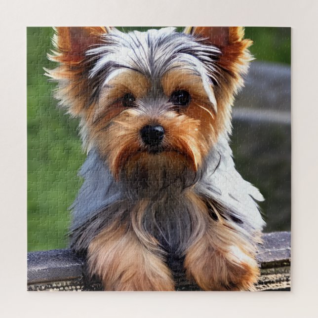 Cute Yorkshire Terrier Puppy Dog Jigsaw Puzzle (Vertical)