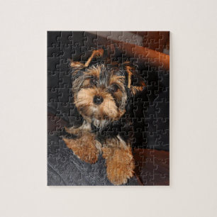 Cute Yorkshire Terrier Puppy Dog Jigsaw Puzzle