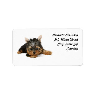 Cute Yorkshire Terrier Puppy Label