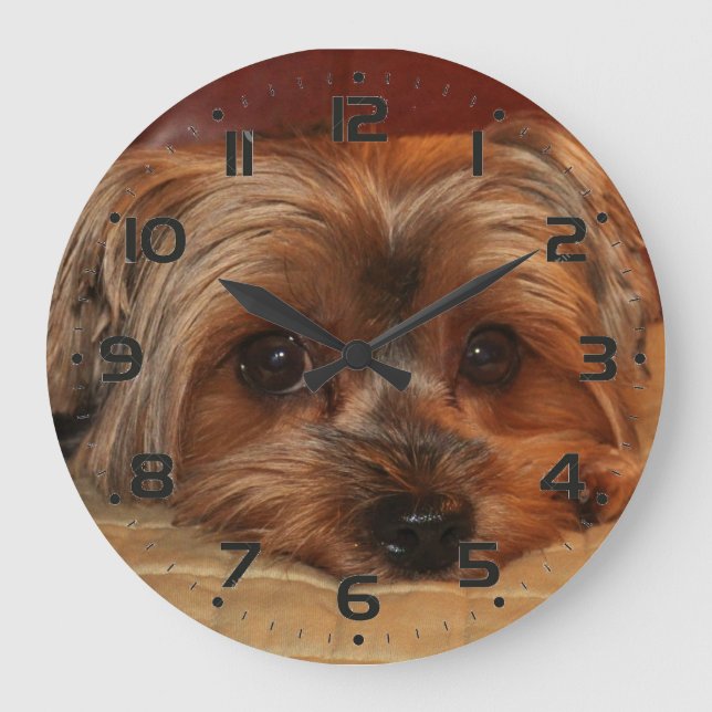 Cute Yorkshire Terrier Puppy Large Clock (Front)