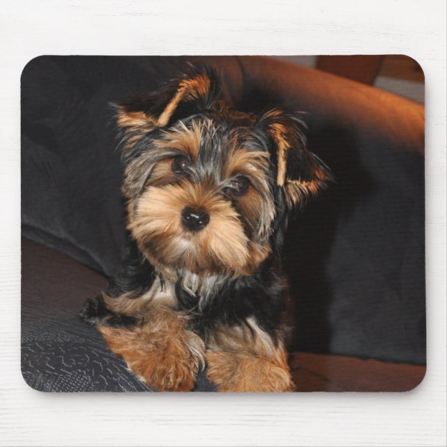 Cute Yorkshire Terrier Puppy Mouse Pad (Front)