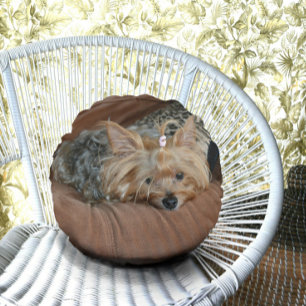 Cute Yorkshire Terrier Puppy Round Cushion