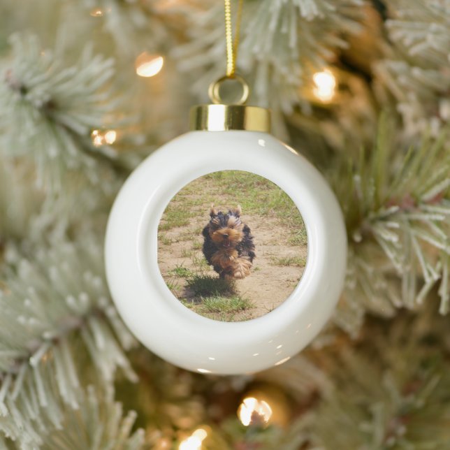 Cute Yorkshire Terrier Puppy  running Ceramic Ball Christmas Ornament (Tree)