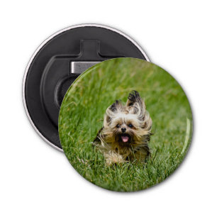 Cute Yorkshire Terrier Running Through Grass Bottle Opener