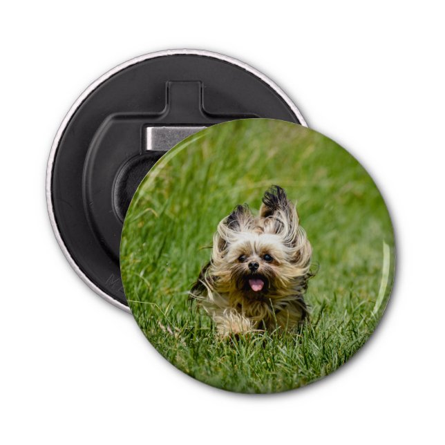 Cute Yorkshire Terrier Running Through Grass Bottle Opener (Front)