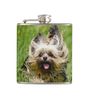 Cute Yorkshire Terrier Running Through Grass Hip Flask