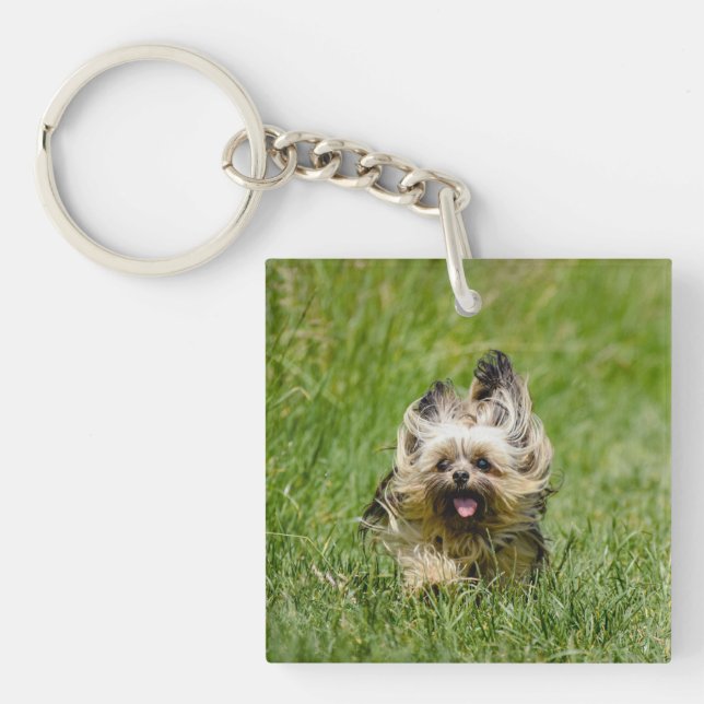 Cute Yorkshire Terrier Running Through Grass Key Ring (Front)