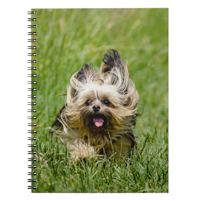 Cute Yorkshire Terrier Running Through Grass Notebook (Front)