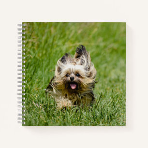 Cute Yorkshire Terrier Running Through Grass Notebook