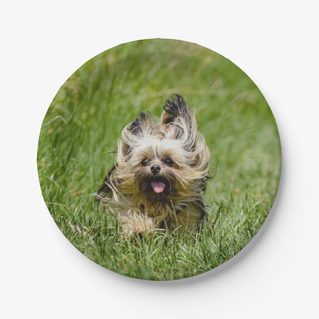 Cute Yorkshire Terrier Running Through Grass Paper Plate (Front)