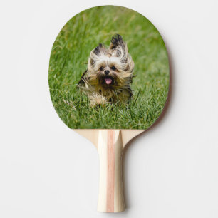 Cute Yorkshire Terrier Running Through Grass Ping Pong Paddle