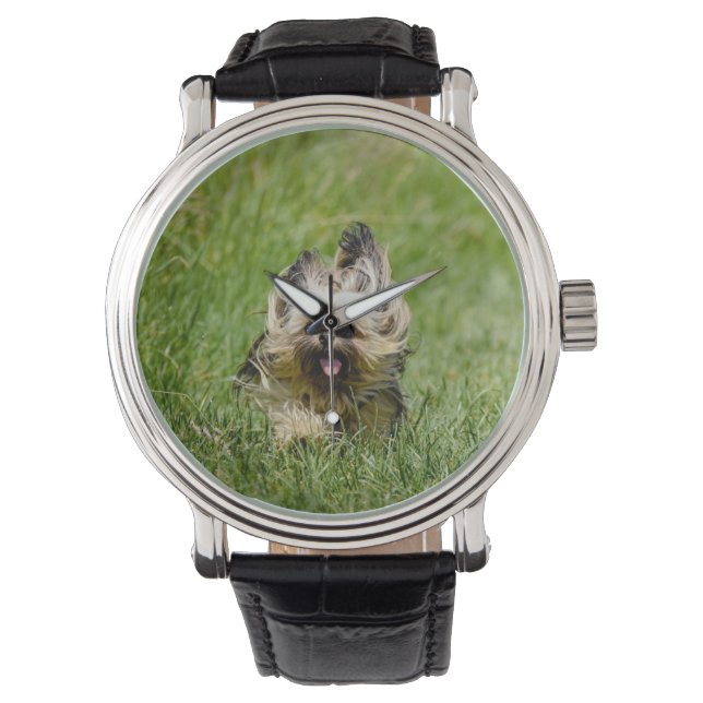 Cute Yorkshire Terrier Running Through Grass Watch (Front)