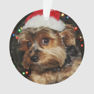 Cute Yorkshire terrier with Santa Hat Ornament