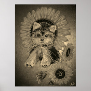 Cute Yorkshire Terrier with Sunflowers Poster