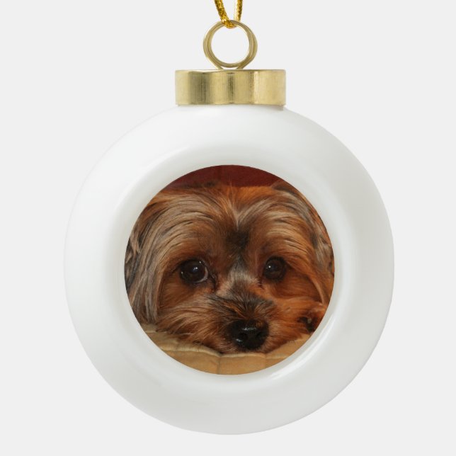Cute Yorkshire Terrier  Yorkie Dog   Ceramic Ball Christmas Ornament (Front)