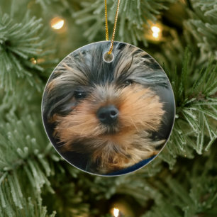 Cute Yorkshire Terrier Yorkie Puppy Dog Ceramic Ornament