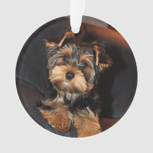 Cute Yorkshire Terrier Yorkie Puppy Dog  Ornament (Front)
