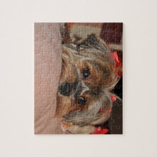 Cute Yorkshire Terrier Yorkie with Red Bows Jigsaw Puzzle