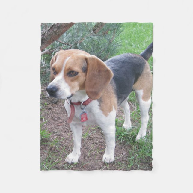 Cute Young Beagle Fleece Blanket (Front)