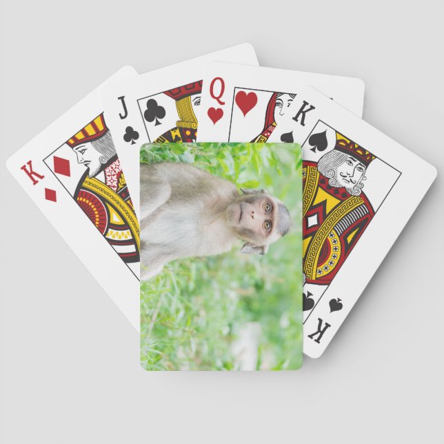 Cute Young Brown Spider Monkey Playing Cards (Back)