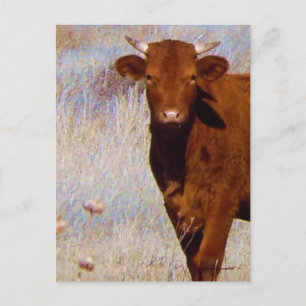 Cute Young Red Cow Cattle with Horns Western Postcard