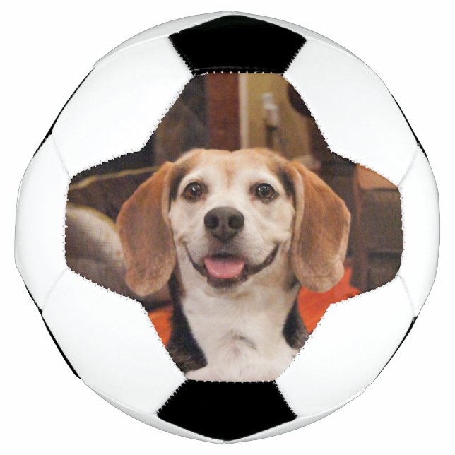 Cute Your Own Pet Photo Modern Custom Soccer Ball (Front)