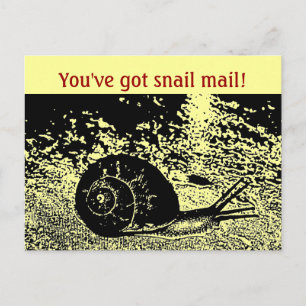 Cute You've Got Snail Mail! Postcard